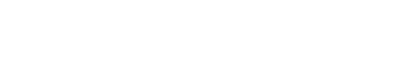 Feeture Insoles Logo